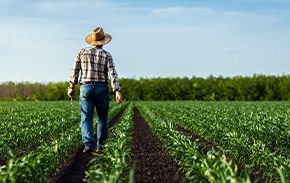 New partnership program for purchase of a specific selection of plant protection products, seeds, and fertilizers by Credit Agricole and Spectr-Agro