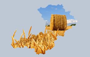 Спеціальна пропозиція для малих агровиробників Полтавської і Кіровоградської областей від Credit Agricole 