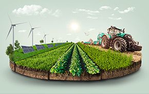 Як Креді Агріколь Банк перетворює сталість на джерело доходів для українського агробізнесу